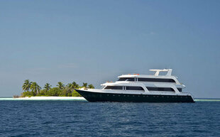 Maldives Leo scuba diving liveaboard