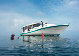 Dive Dhoni - Maldives Leo scuba diving liveaboard