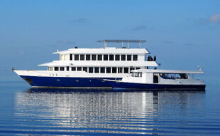 Maldives Virgo scuba diving liveaboard
