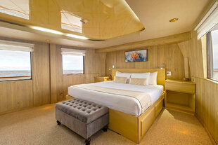 Passion Master Cabin