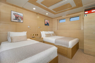 Passion Stateroom