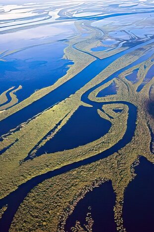 Rainforest Islands of the Anavilhanas Archipelago on Brazil's Amazon Tributary the Rio Negro