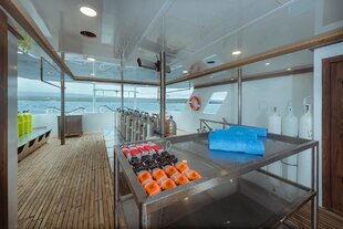 Diving Platform