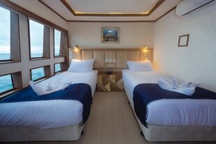tiburon-cabin-galapagos-dive-yacht.jpg