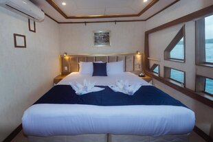 tiburon-cabin-galapagos-dive-yacht-1.jpg