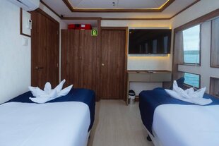 tiburon-cabin-galapagos-dive-yacht-3.jpg