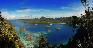 Raja Ampat Landscape