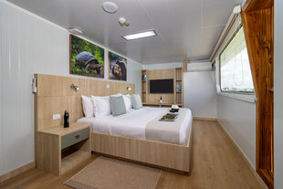 Suite 7
