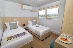 Cabin 3