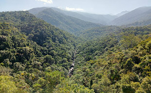 itatiaia-national-park-brazil-tours-1.jpg