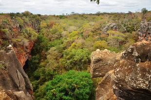 Chapada Diamantina