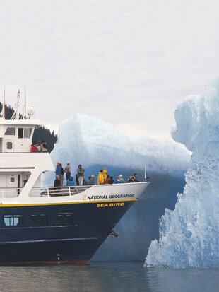 national-geographic-seabird-iceberg-alaska.jpg