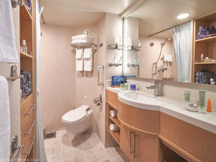 The Bathroom of a Category 5 Cabin