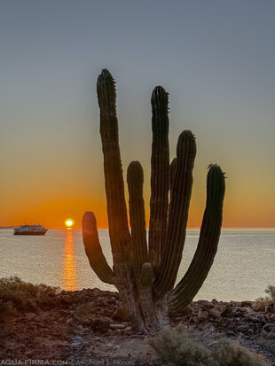 Venture in Baja California