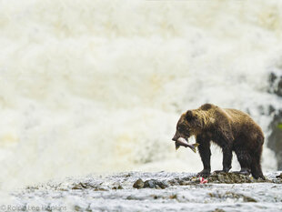 Waterfalls and rapids are great places for a catch