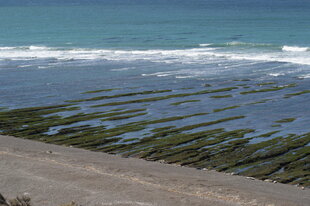 peninsula-valdes-coast.jpg