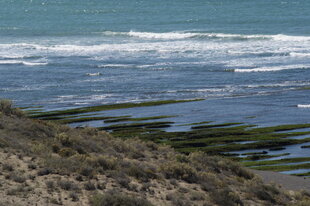 Peninsula Valdes scenery by Charlotte Caffrey