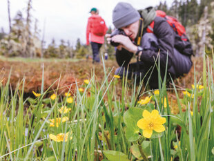 Hiking at Chichagof Island offers great photography opportunities