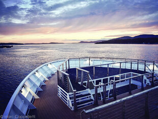 The bow platform is a great place for wildlife encounters