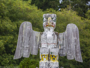 There are Totem Poles of many local animals in Alert Bay