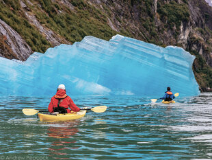 By Kayak, you can go right up to icebergs