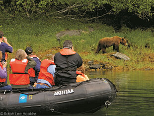 Zodiacs help us see Brown Bears up-close
