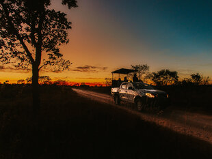 Safaris operate well into the night for wildlife sightings