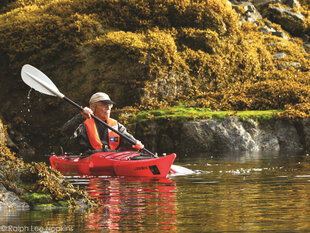 Kayaking in the Great Bear Rainforest