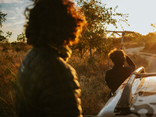 Locating Maned Wolves on safari in the Cerrado