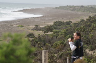 Peninsula-Valdes-coastlines-views-Charlotte-Caffrey.JPG