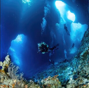 Diving in The Underwater Caves of Palau