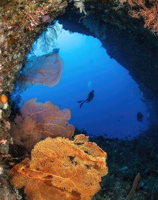Diver in a Cave Underwater in Palau