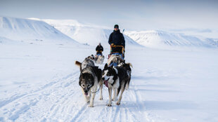 High-Arctic-Dog-Sledding-excursions-Spitsbergen-Svalbard-adventure-wilderness-lodge-February-March-April.jpg