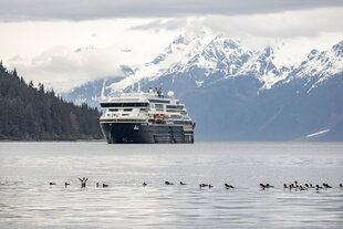 20250512-alaska-williamhenrybay-amundsenducks-tedgatlin-4160-39137642-photo-ted-gatlin.jpg