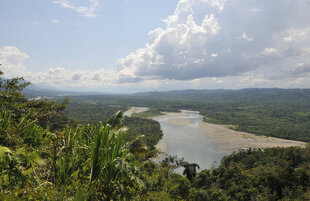 Peruvian Amazon River