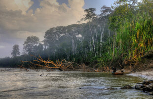 Peruvian Amazon Riverside