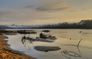 Peruvian Amazon Riverside