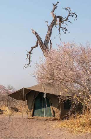 Deluxe standard sleeping tent