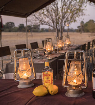 Premium Mobile Safari Dining