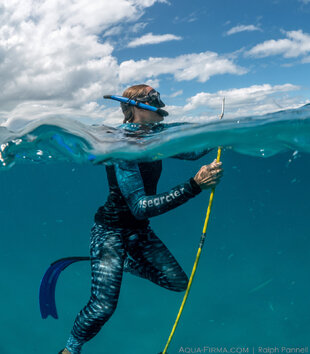 Dr Clare Prebble taking whale shark skin sample