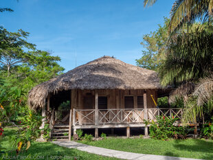 Lodge-based accommodation within forest wildlife reserve