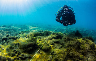 Silfra Fissure Diver