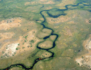 Okavango Delta flooded wetlands spreading into savannah