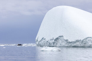 Zodiac Cruise in the Davis Strait - HX Expeditions - Ted Gatlin
