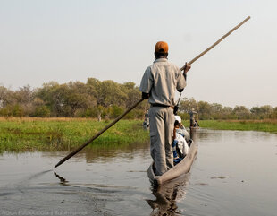 Makoro Safari along the Khwai River