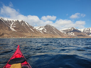 kayaking-fjord-discovery-iceland-isafjordur-paddling-adventure.jpg