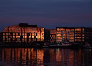 Whales in the Midnight Sun, Harpa Concert Hall