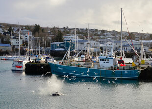 Reykjavik Harbour