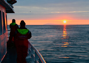 Midnight Sun Whale Watching