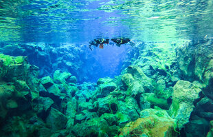 Snorkelling in Silfra